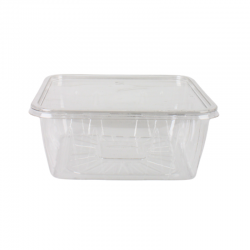 كرتون علبة بلاستيك مربعة شفافة – 75 حبة