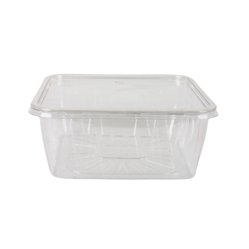 علبة بلاستيك مربعة شفافة | 20×20 سم × عمق 9 سم – كرتون يحتوي على 75 حبة