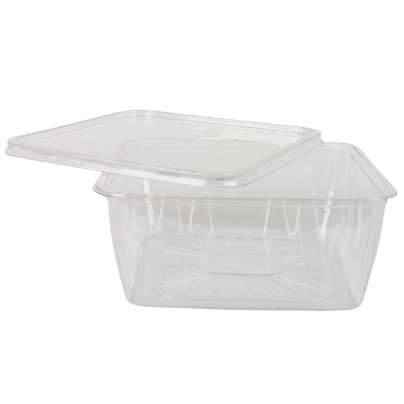 علبة بلاستيك مربعة شفافة | 20×20 سم × عمق 9 سم – كرتون يحتوي على 75 حبة