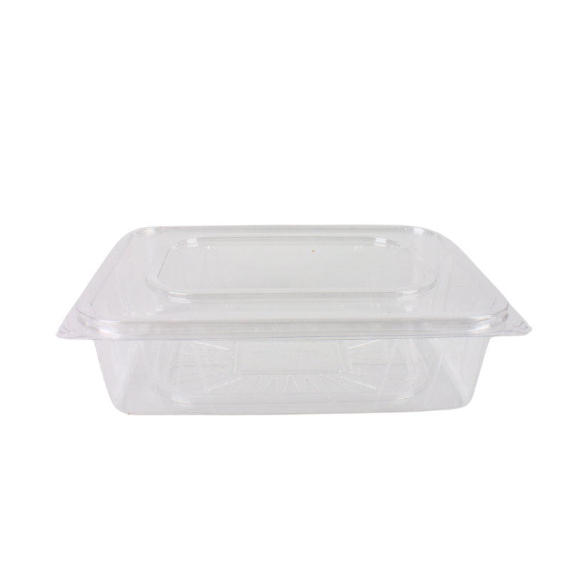 علبة بلاستيك مستطيلة شفافة بغطاء متصل | مقاس 20×15 سم × عمق 6 سم – كرتون يحتوي على 160 حبة