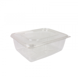 كرتون علبة بلاستيك مستطيلة بغطاء متصل شفاف 20×15 سم – عمق 7 سم – 160 حبة