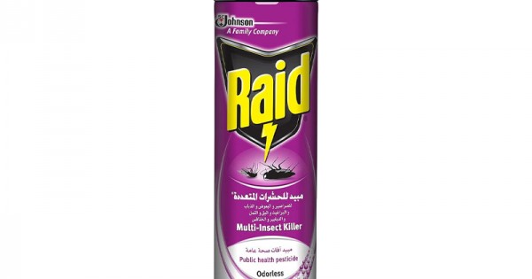 Raid Odorless Insecticide Spray | 300 ml – 100% Kill for 24 Hours