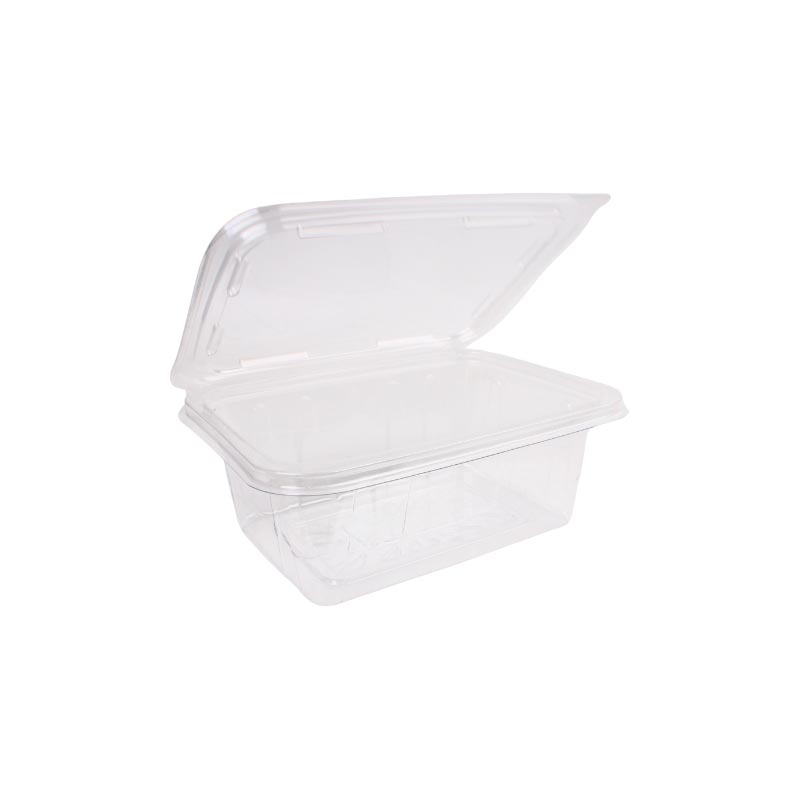 حزمة علبة بلاستيك مستطيلة بغطاء متصل شفاف 16×11 سم – عمق 6 سم – 10 حبات